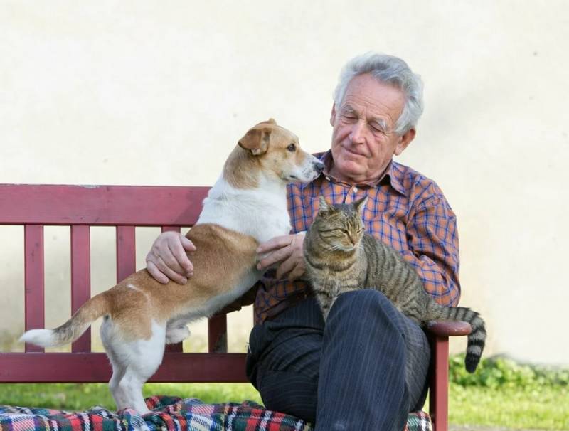 Сказки старого Маугли армия