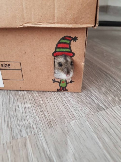 Прикольные картинки и фото для Юмористов Прикольные картинки и фото для Юмористов забавные новости