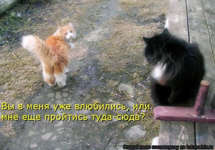 Мысли вслух :)