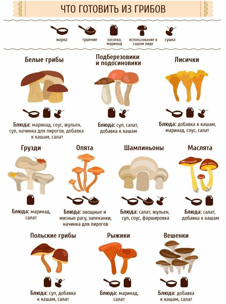 Виды приготовления грибов