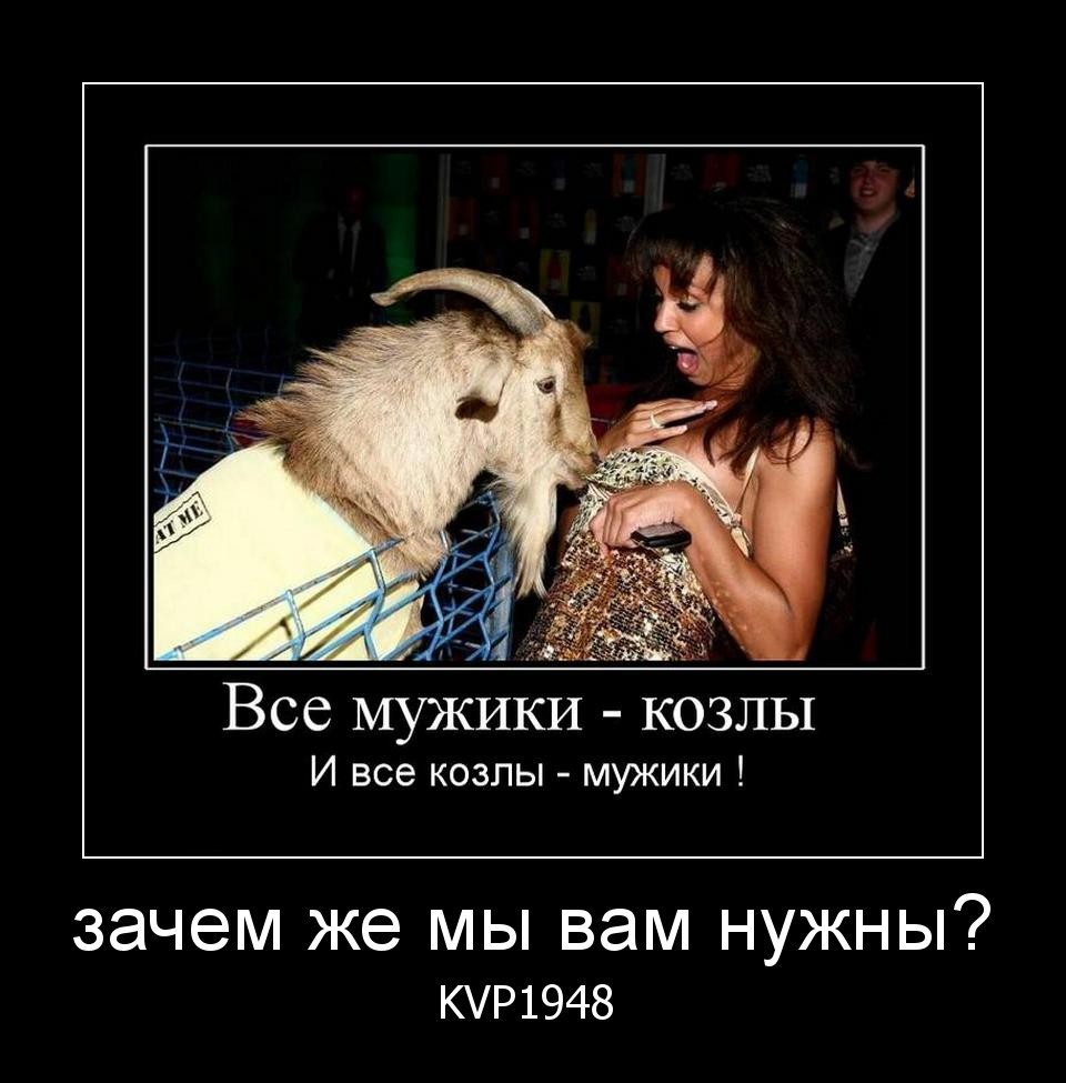 Смешная картинка все мужики козлы