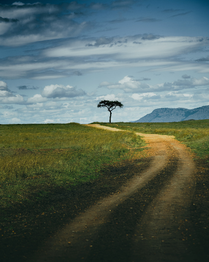 calm by Rahul  on 500px.com