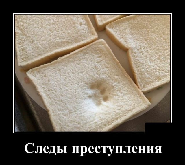 Демотиваторы. Убойные картинки! Демотиваторы. Убойные картинки! демотиваторы