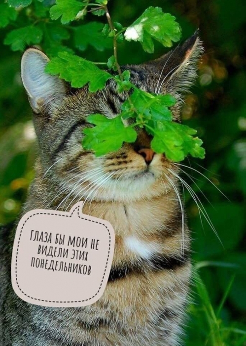 Рано или поздно дети последуют вашему примеру, а не вашим советам Рано или поздно дети последуют вашему примеру, а не вашим советам демотиваторы,приколы,Хохмы-байки,юмор