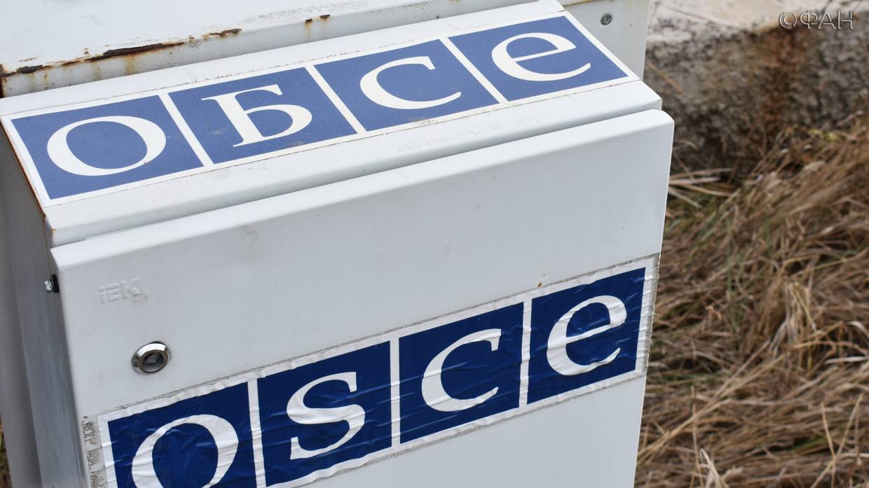 Председатель ОБСЕ Рау посетит Украину и Донбасс