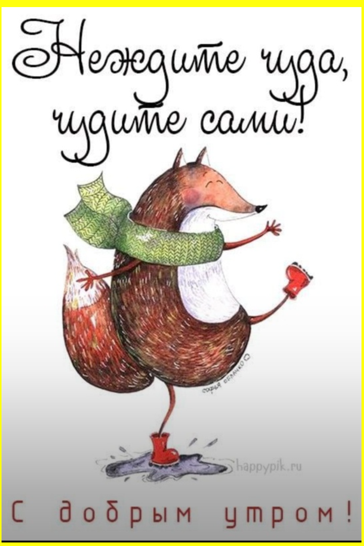 Утренний юморок на четверг Утренний юморок на четверг