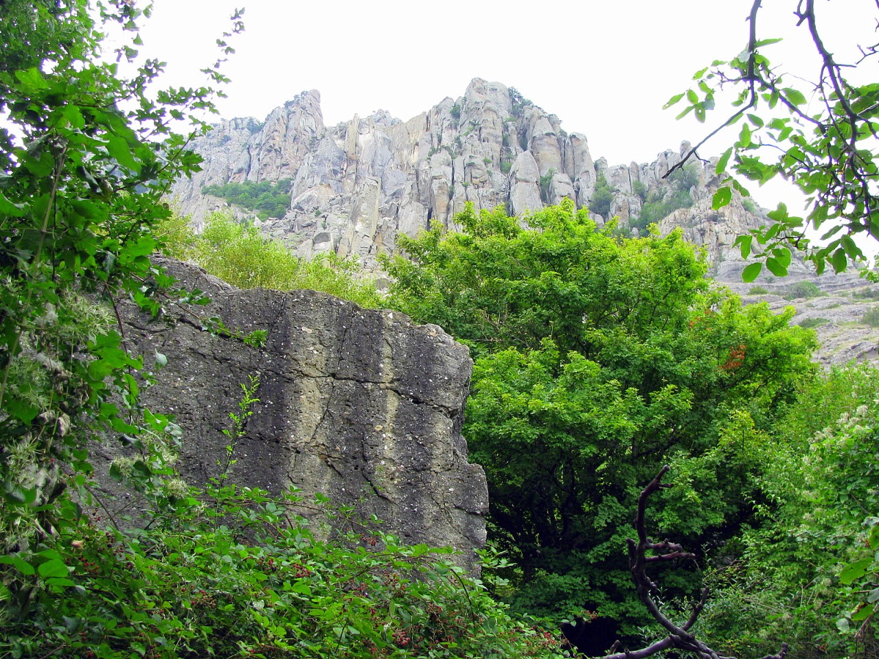 Крым 6. Гора Бюзюка Крым. Урочище Бюзюка. Санаторное Крым гора дракончик. Зеленые камни в горах в Крыму.