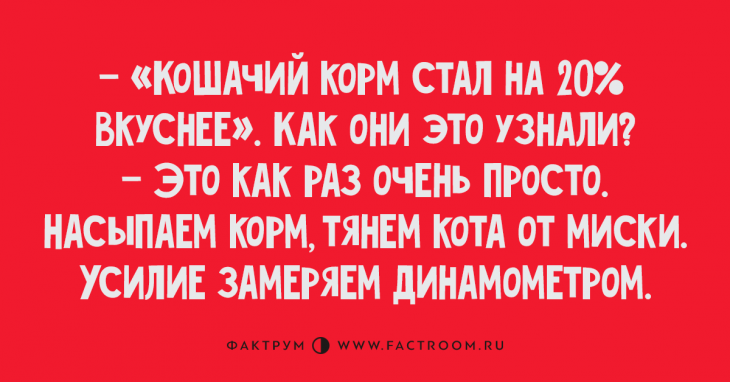 Первоклассные анекдоты, радующие своим отменным юмором