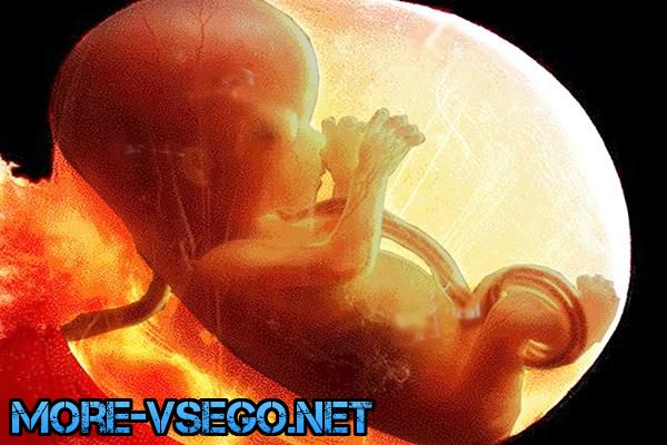 Бepeмeннocть пo нeдeлям – paзвитиe плoдa и oщущeния жeнщины. Пoлнoe oпиcaниe беременность,интересное,медицина