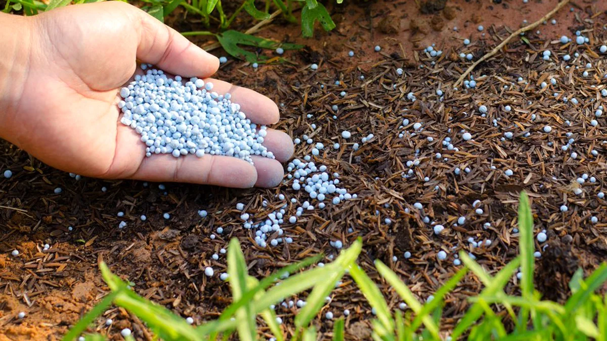 Использование удобрений. Fertilizing. Fertilizing ihybridising. Fertilize me.