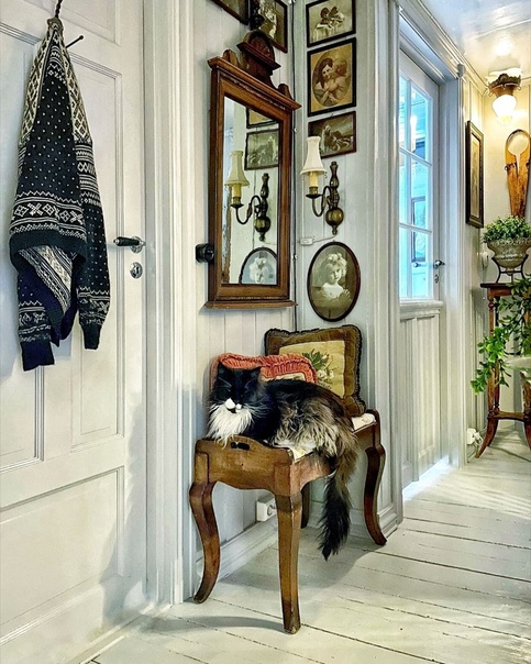 Весенние уютности в старинном норвежском доме с тремя очаровательными котами 