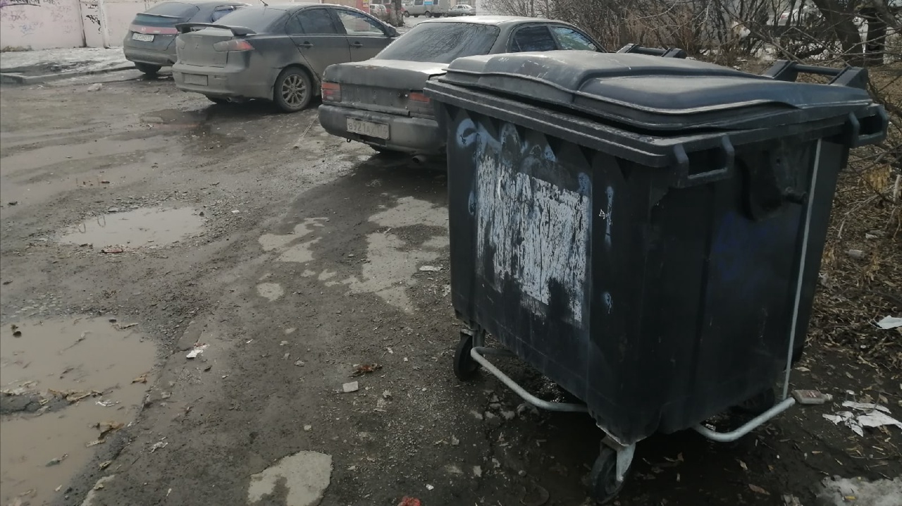 В Самарской области создадут министерство, чтобы разобраться с мусором