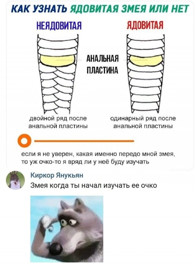 Юмор на любителя