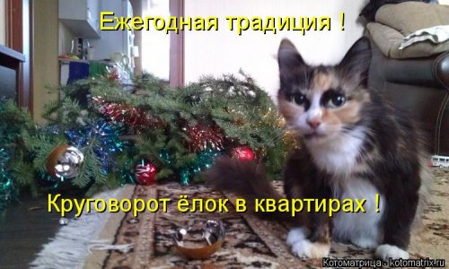 Новая котоматрица 