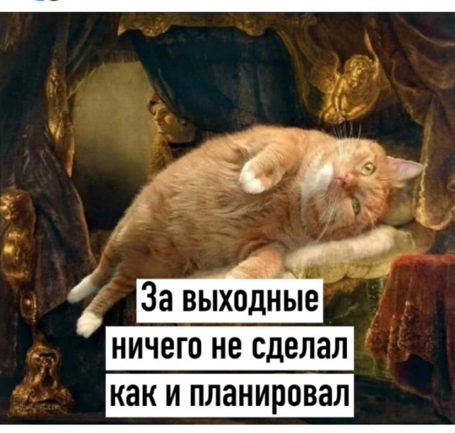 Юмор в картинках и без 