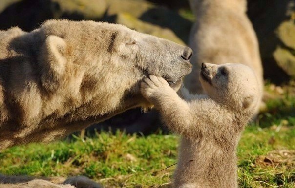 Забавные фотографии и картинки из нашей жизни Смешные картинки и фото приколы