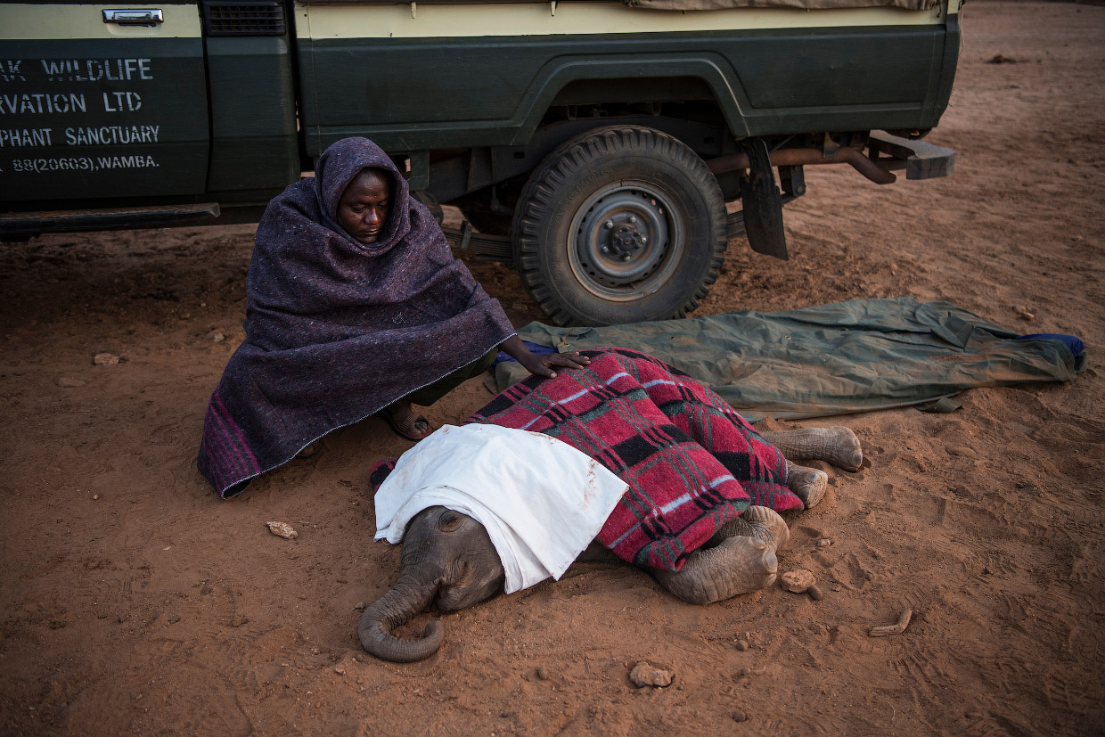 Победители World Press Photo 2018