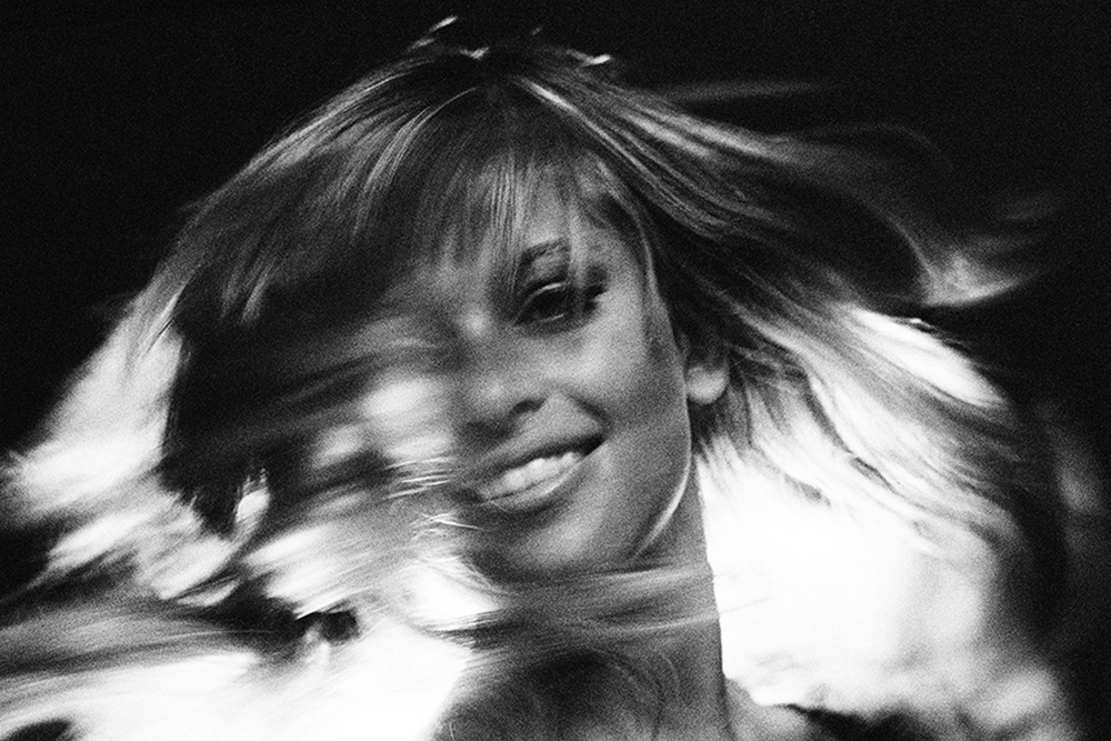 Птицы Британии 