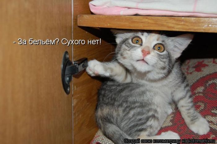 Мысли вслух :)