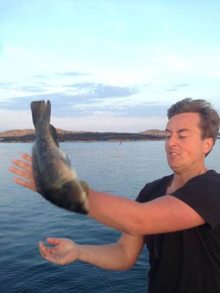 Подборка картинок. Вечерний выпуск (56 фото)