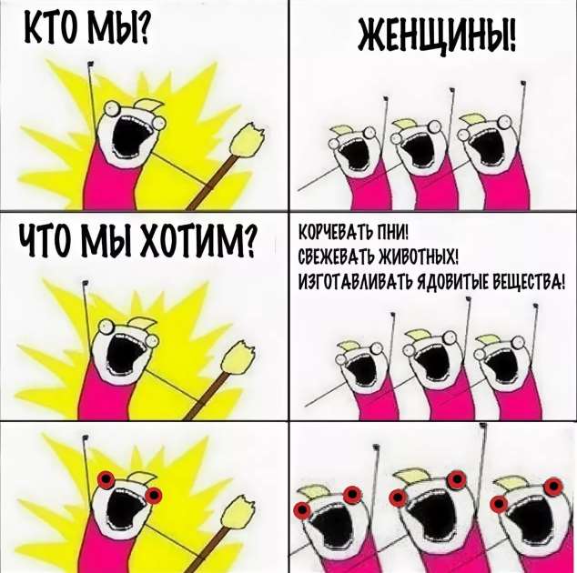 Мем кто мы женщины чего мы хотим