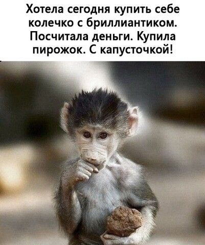 Задорные шутки с сарказмом 