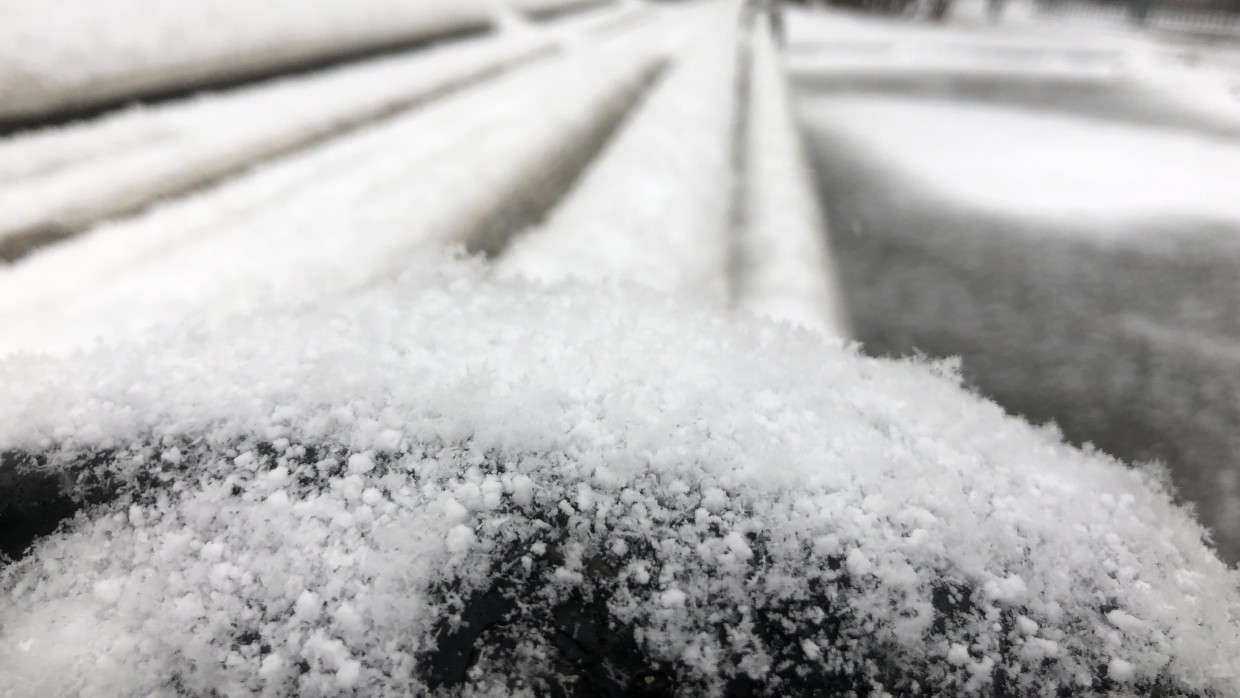 Климатолог Семенов назвал предположительный срок исчезновения снега в России Общество