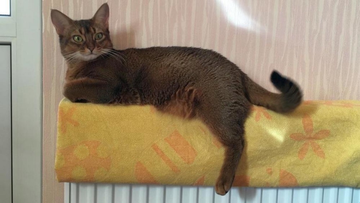 Политолог Соловейчик: Петербург справляется с проблемами в системах теплоснабжения