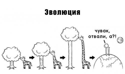 Классные фотоприколы! Классные фотоприколы! смешные картинки