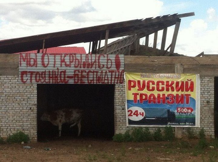 Эти объявления вас повеселят картинки