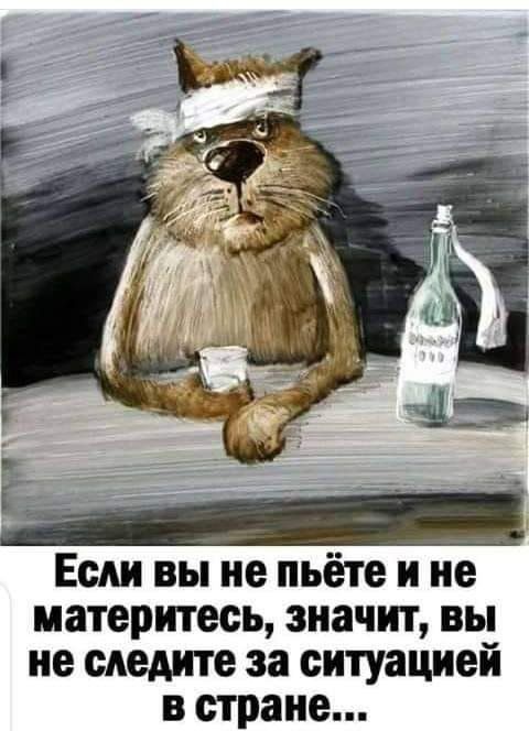 Задорные шутки с сарказмом 