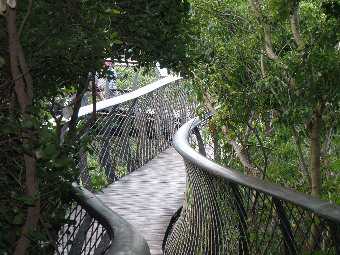 Сказочная дорога над деревьями — одно из самых уникальных мест в Кейптауне Сказочная дорога над деревьями — одно из самых уникальных мест в Кейптауне авиатур