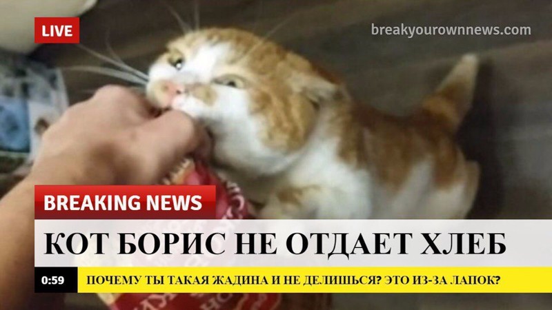 Доброжелательные новости, которые мы заслуживаем животные, интересное, новости, фотоприкол