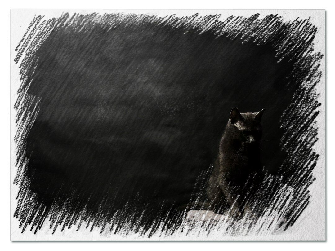 Простой прием для отдыха глаз, или Почему полезно искать черную кошку в темной комнате Бейтса, зрения, Бейтс, глаза, Жданова, зрение, открытых, можно, обработка, очень, только, исключительно, пальминг, перед, очков, пользуется, которые, техник, черный, Шичко