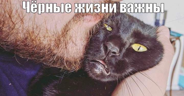 Смешные эксклюзивные картинки Смешные эксклюзивные картинки картинки,прикол,юмор