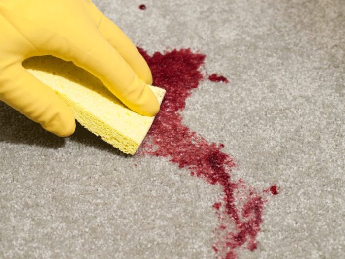 Домашние методы чистки ковров