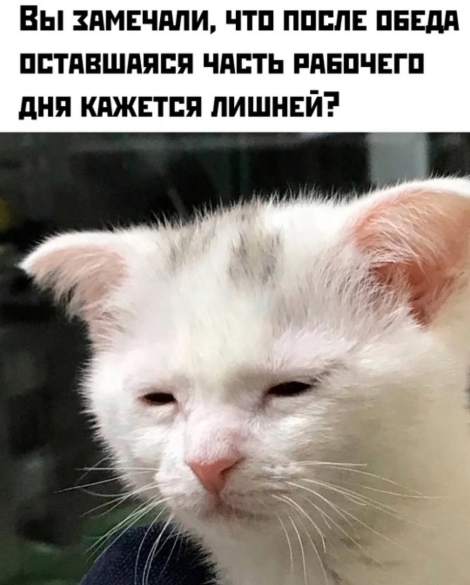 Курьер - это не солидно. Представляйтесь как топ-топ менеджер Курьер - это не солидно. Представляйтесь как топ-топ менеджер
