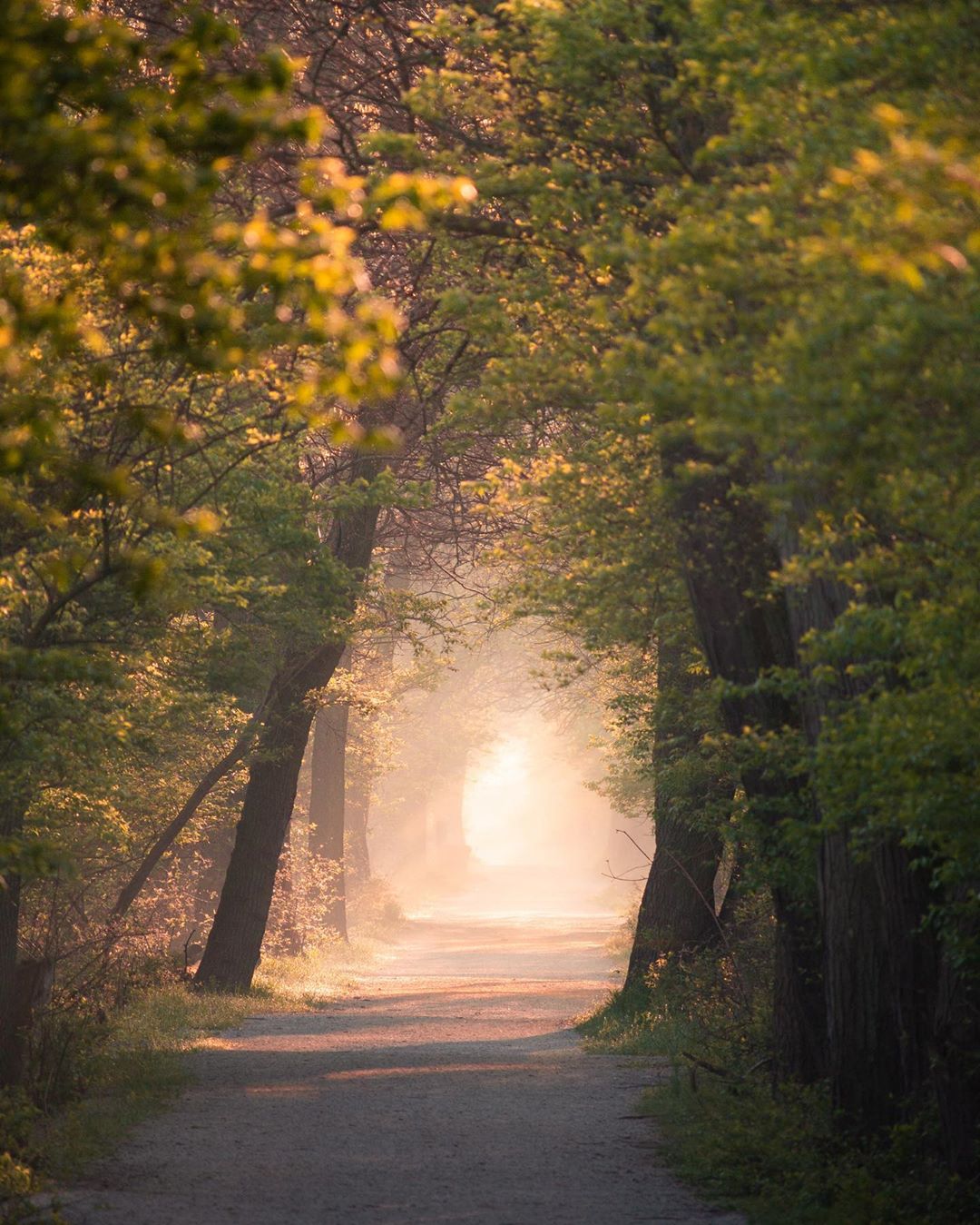 Наша симпатичная планета на фотографиях Логана Брауна Логан, природу, Читать, подписчиков, более, Instagram, делится, фотограф, работами, Своими, воздухе, свежем, фотографии, путешествия, дикую, Браун, удивительную, снимает, животных, дизайне