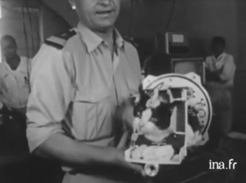 Felicette prepares for liftoff.