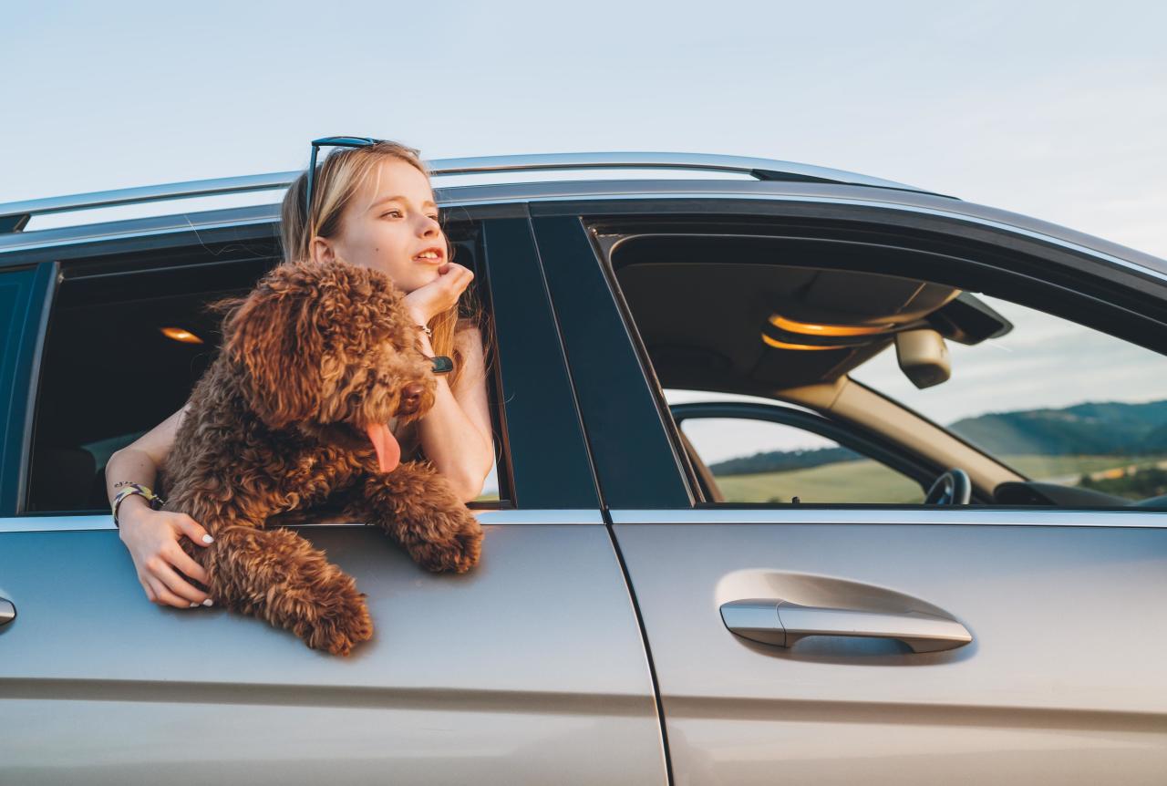 10 карманных настольных игр в поездку, с которыми ваш ребенок точно не заскучает можно, играть, чтобы, дороге, кубиков, целая, комплекте, карты, взять, ребенка, дорогу, может, игра —, фишки, серия, магнитные, детей, удобной, больше, бренда