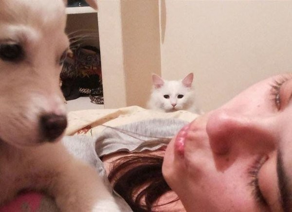 Ревность - ужас в нашей жизни интересное, особенности, ревность, чувства