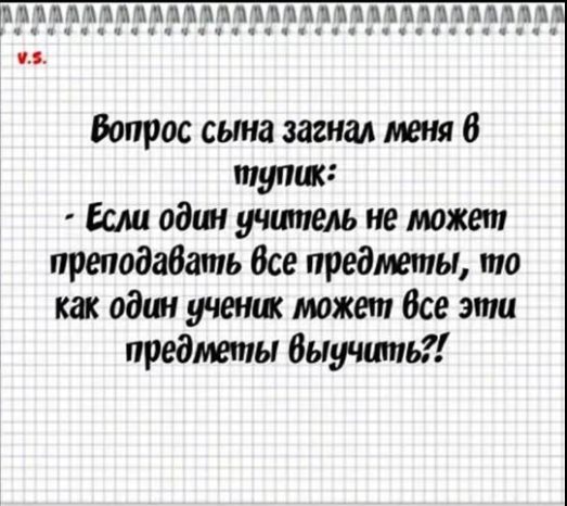 Маленькая черепашка лезет на дерево. Цепляется, упирается, все-таки залезает… юмор,приколы,Юмор,картинки приколы,приколы,приколы 2019,приколы про