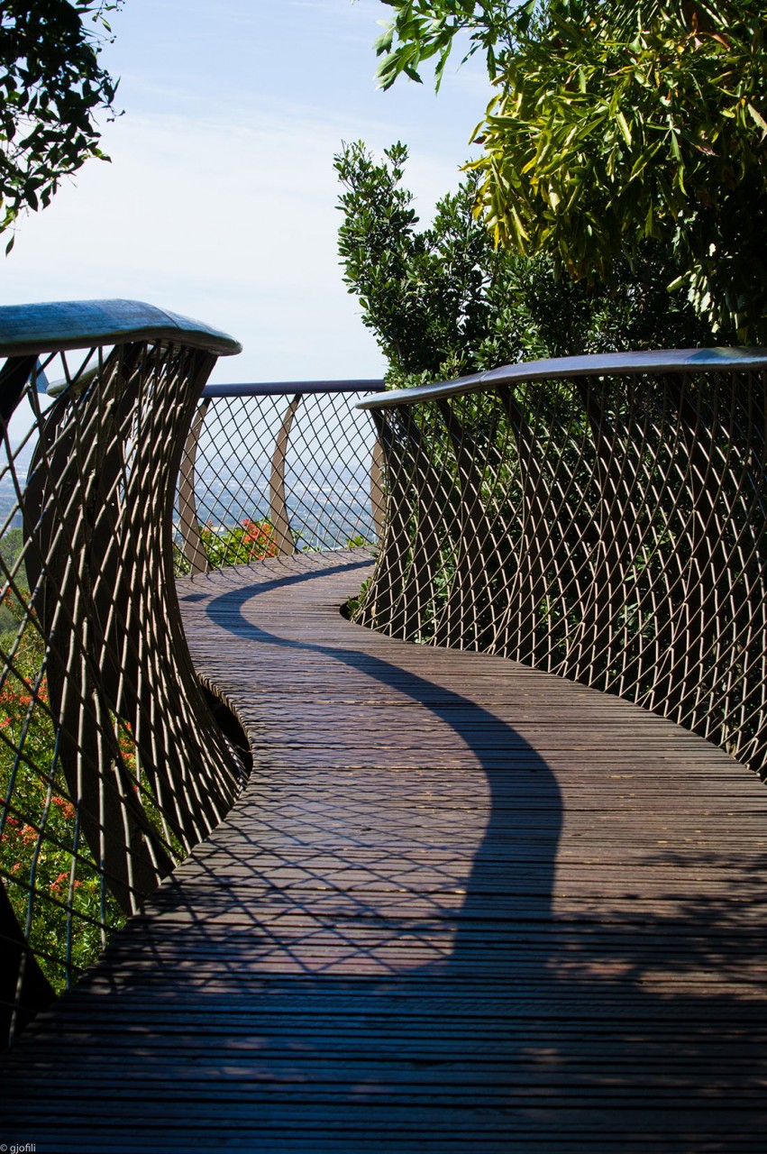 Сказочная дорога над деревьями — одно из самых уникальных мест в Кейптауне Сказочная дорога над деревьями — одно из самых уникальных мест в Кейптауне авиатур