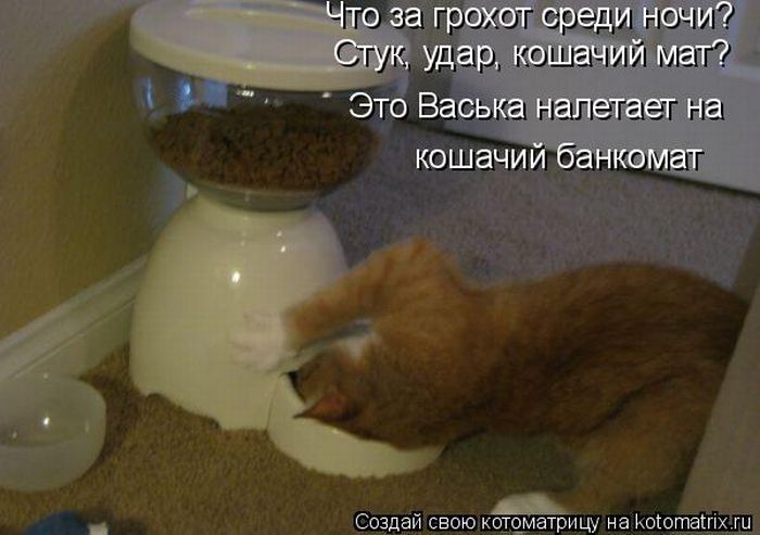 Мысли вслух :)