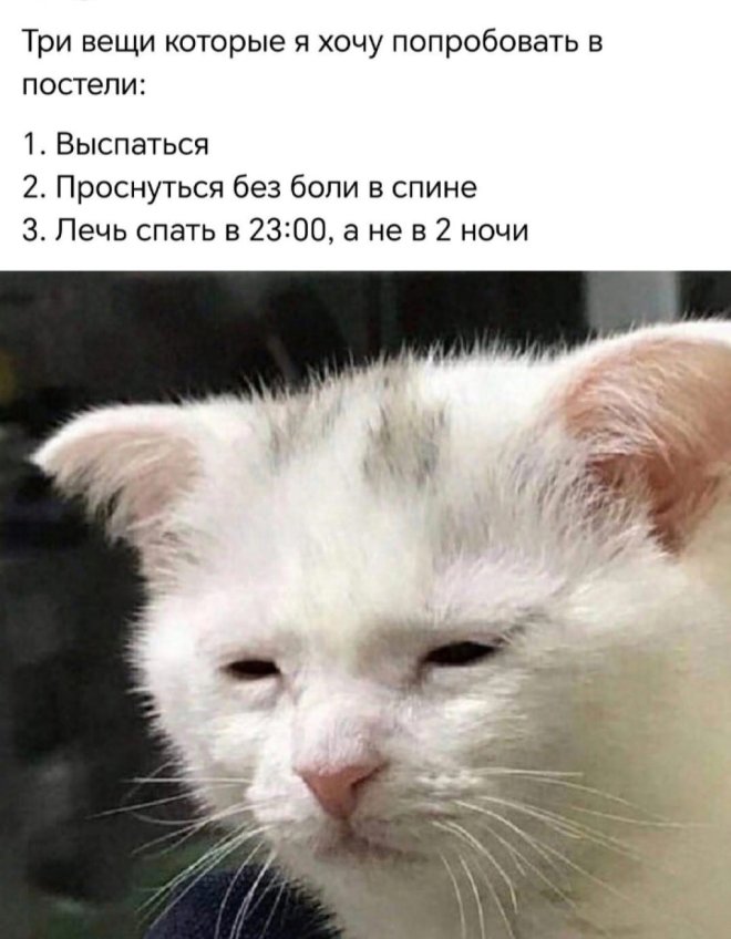 Юмор для тех, кто уже повзрослел и понял, что «маркетплейс» — это ловушка для зарплаты Юмор для тех, кто уже повзрослел и понял, что «маркетплейс» — это ловушка для зарплаты