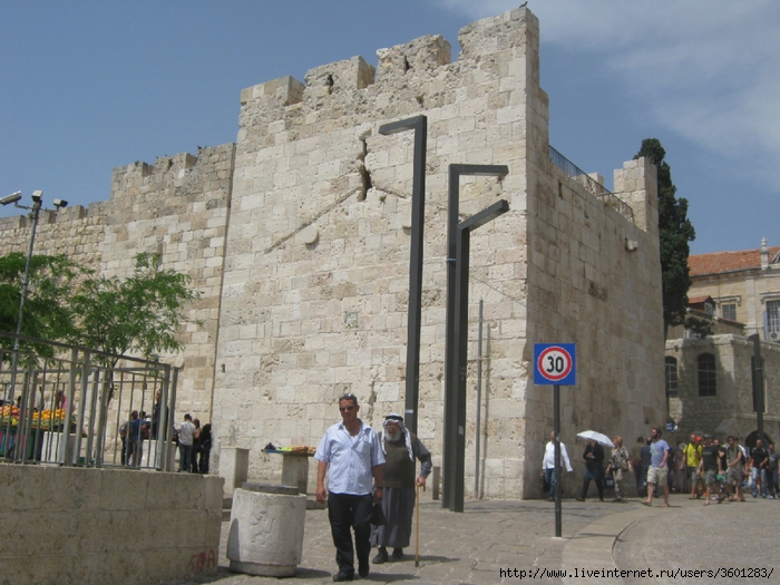 437 (700x525, 307Kb)