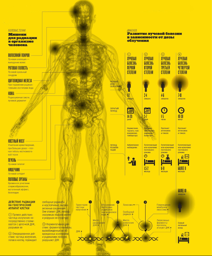 Излечение от излучения: как радиация влияет на человеческий организм здоровье,наука,физика