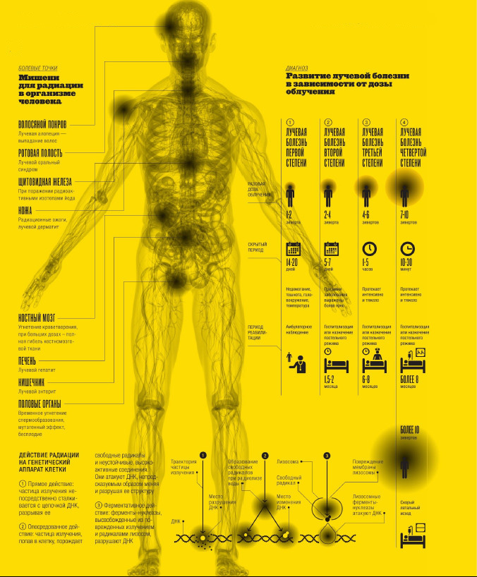 Излечение от излучения: как радиация влияет на человеческий организм может, болезни, радиации, облучения, время, клетки, лучевой, излучения, лучевая, ткани, болезнь, через, результате, клеток, развития, степени, жизни, примерно, только, внутренние