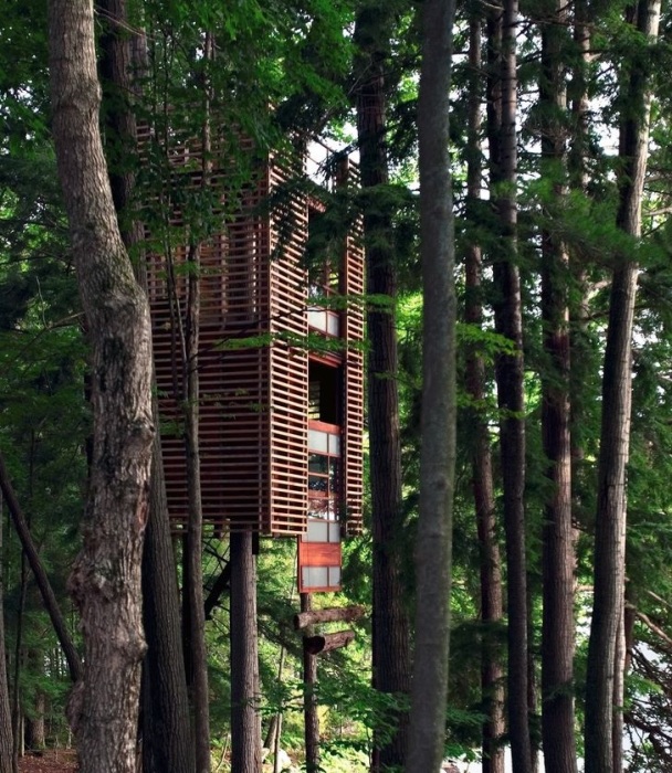 Домик на дереве «4TreeHouse» спроектировал канадский архитектор Lukasz Kos. | Фото: matadornetwork.com.
