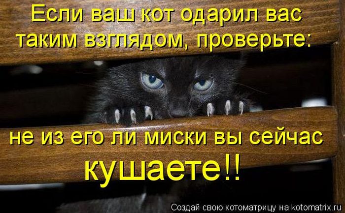 Мысли вслух :)